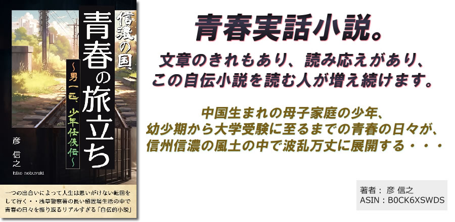 青春実話小説。
